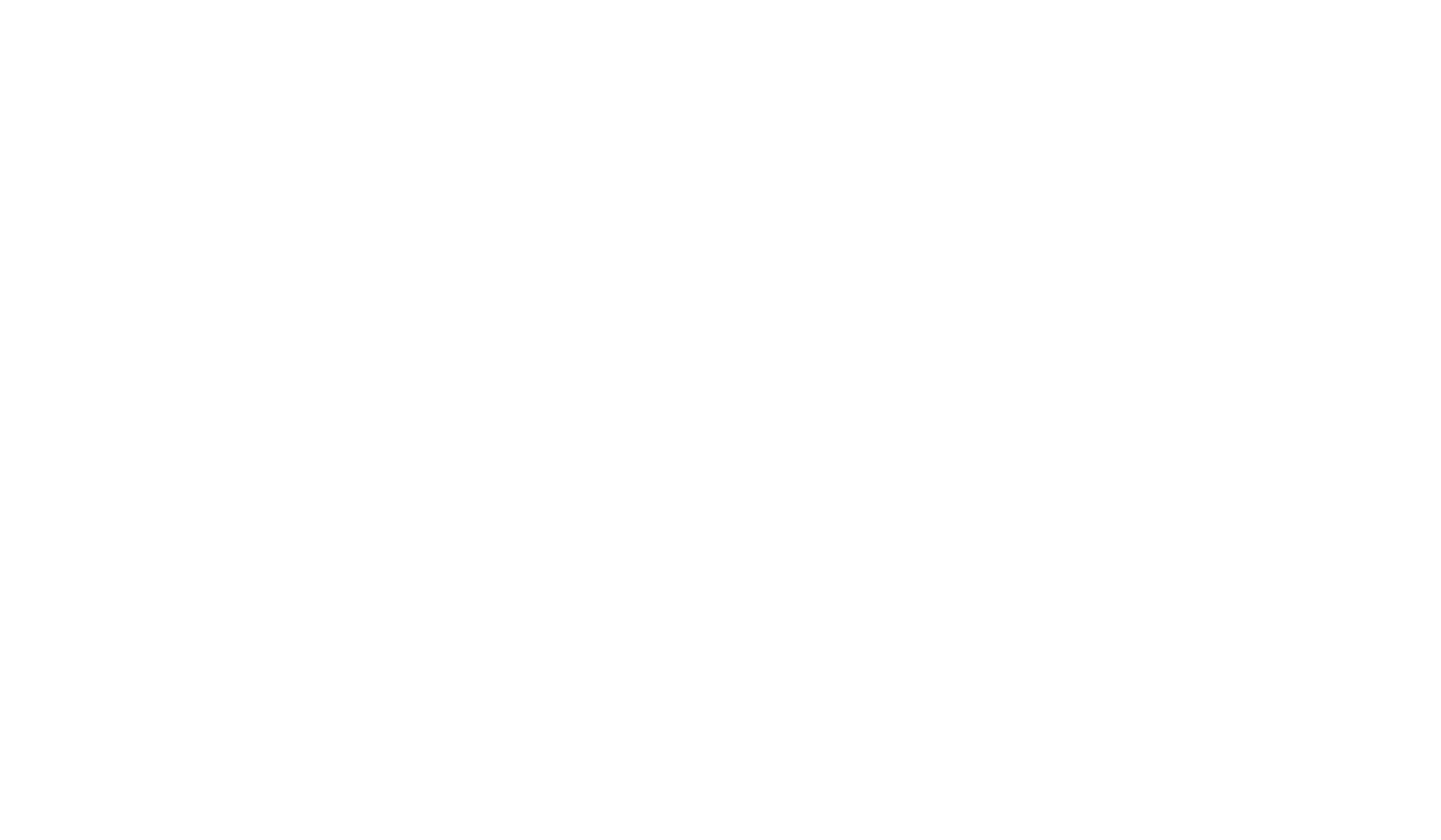 High Quality Shuttle Loom Webbing